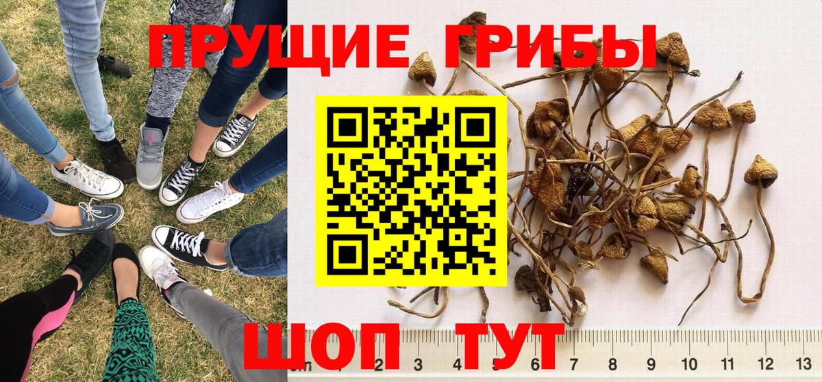 Псилоцибиновые грибы ЛСД Нижневартовск